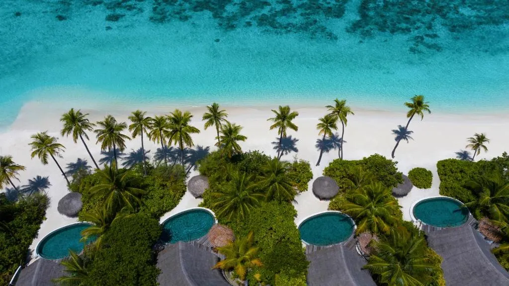 Beachfront view from Milaidhoo Maldives with palm trees