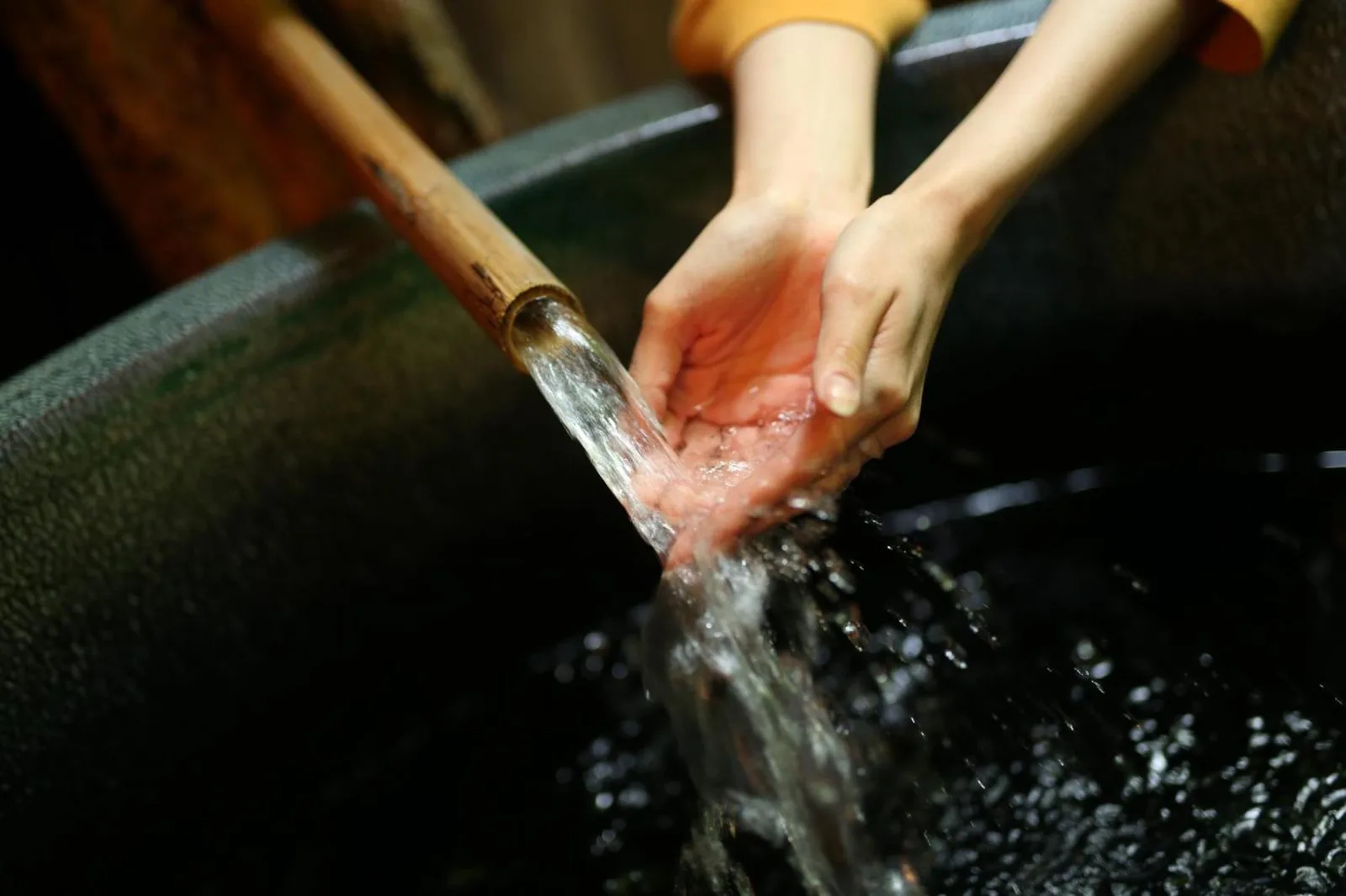 Momijiya Annex, en Kyoto