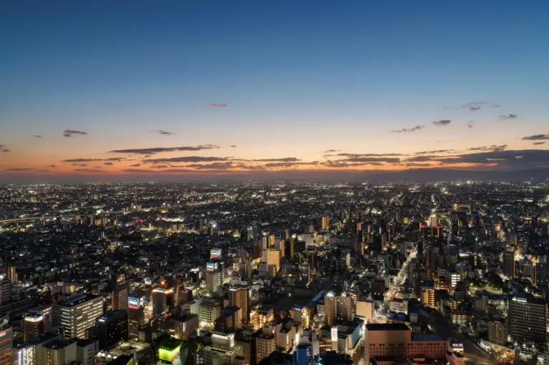 Expansive City View