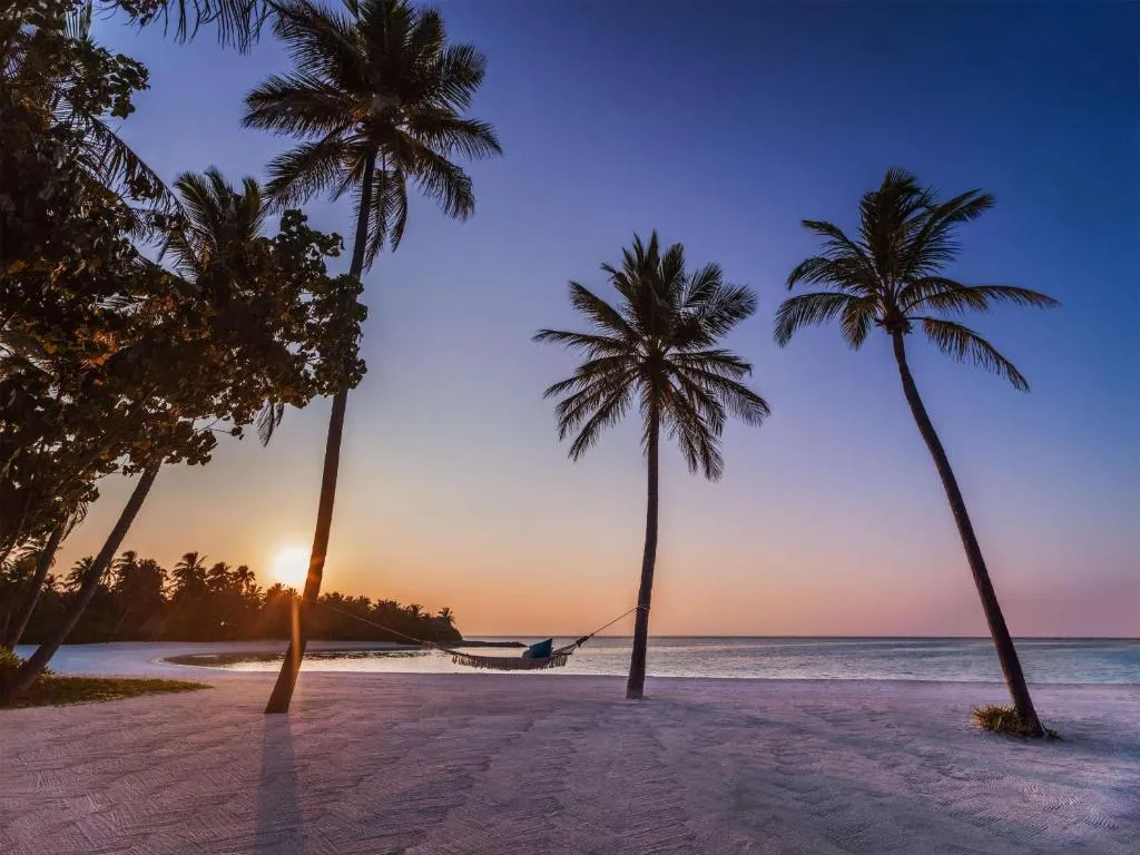 Tropical sunset scene at One&Only Reethi Rah with palm trees