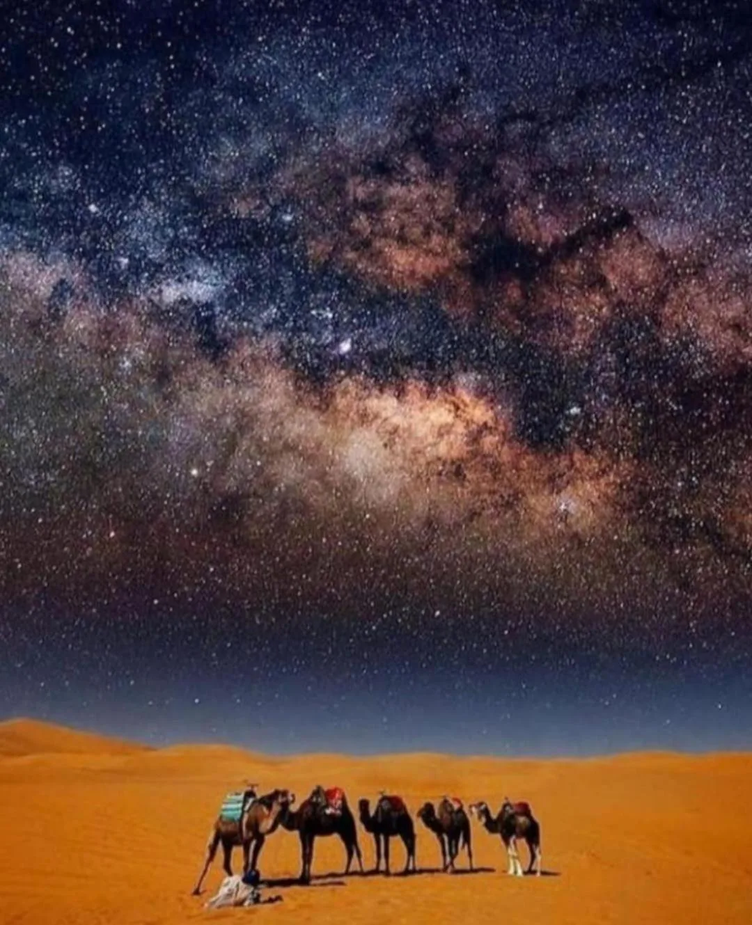 La Voie lactée au-dessus des dunes du désert près de Overnight Desert Camp à Merzouga avec des chameaux au premier plan.