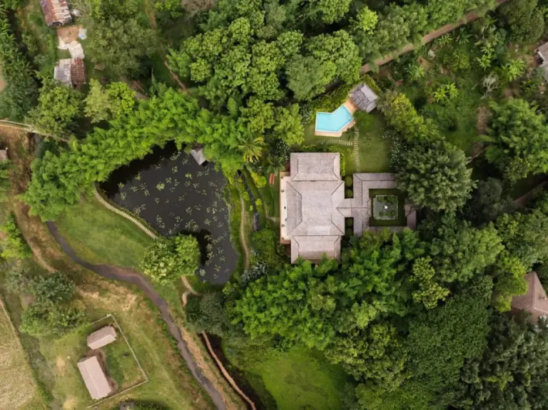 Aerial view of Pa Sak Tong in Chiang Rai