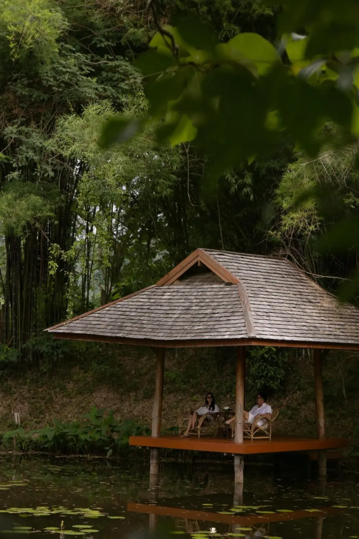 Pavilion by the pond at Pa Sak Tong