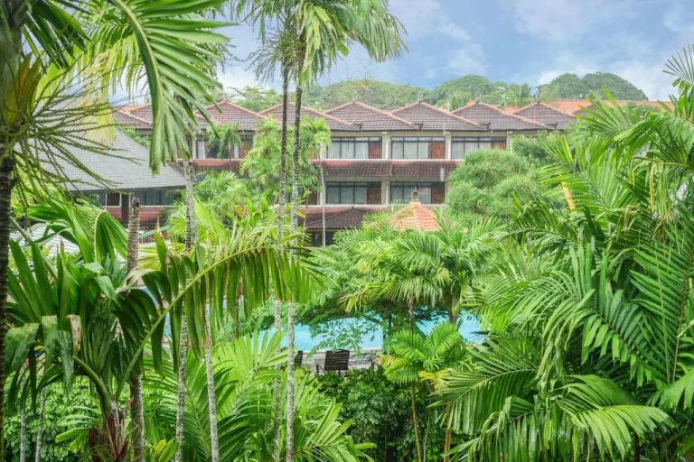 Vista desde Palm Beach Hotel Bali mostrando palmeras y la piscina al fondo.