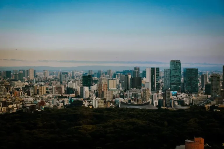 Vue panoramique de Tokyo depuis le Park Hyatt Tokyo