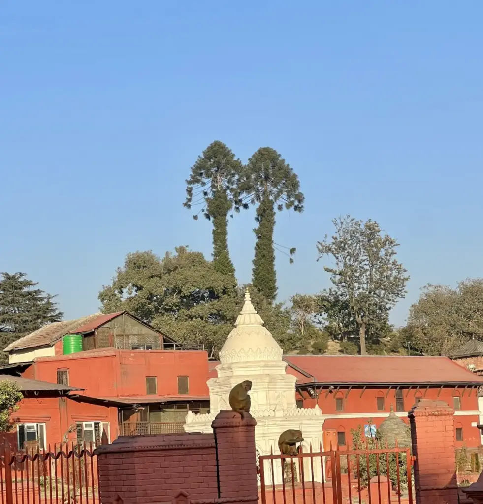 Pashupatinath Temple