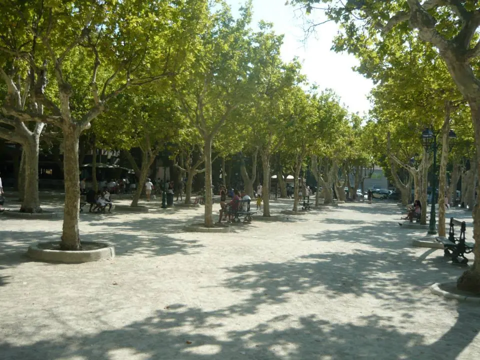Place des Lices in Saint-Tropez