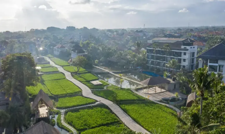 Luftaufnahme des Plataran Ubud Hotel & Spa umgeben von Reisfeldern