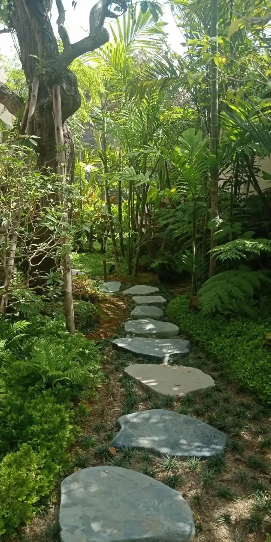 Sentier de jardin pittoresque à Rarin Villas à Chiang Mai