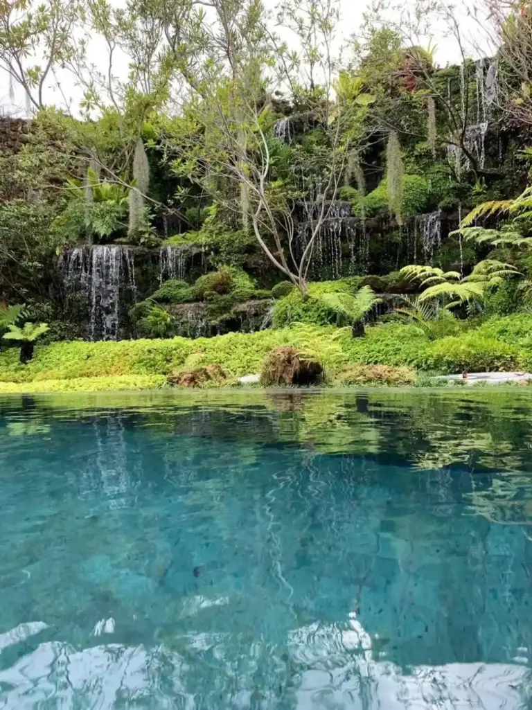 Caractéristique de cascade naturelle de Rarin Villas entourée de verdure luxuriante