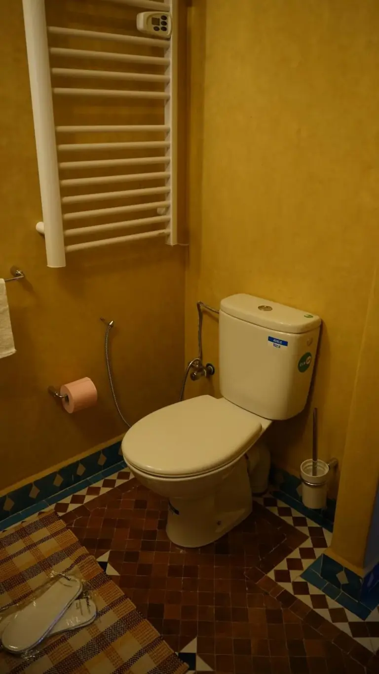 Baño en Riad Jamal en Fes con inodoro, radiador toallero y suelo de baldosas marroquíes con motivos.
