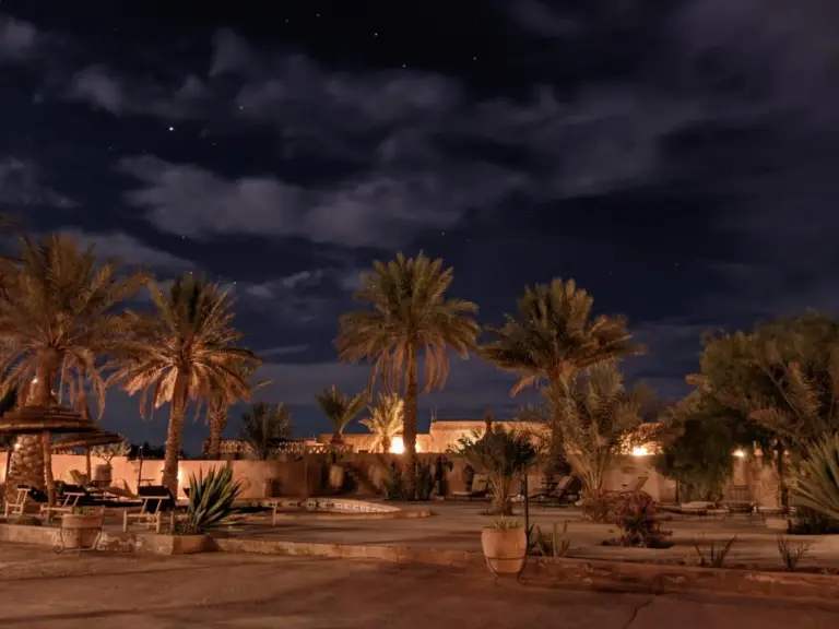 Night View
