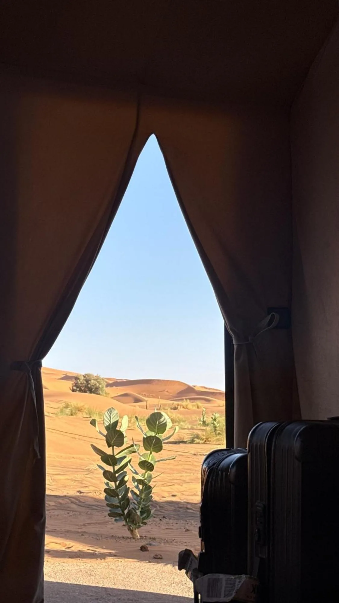Rosara Luxury Camp – Merzouga, Morocco hotel – a group of three beds in a room at Rosara Luxury Camp in Merzouga