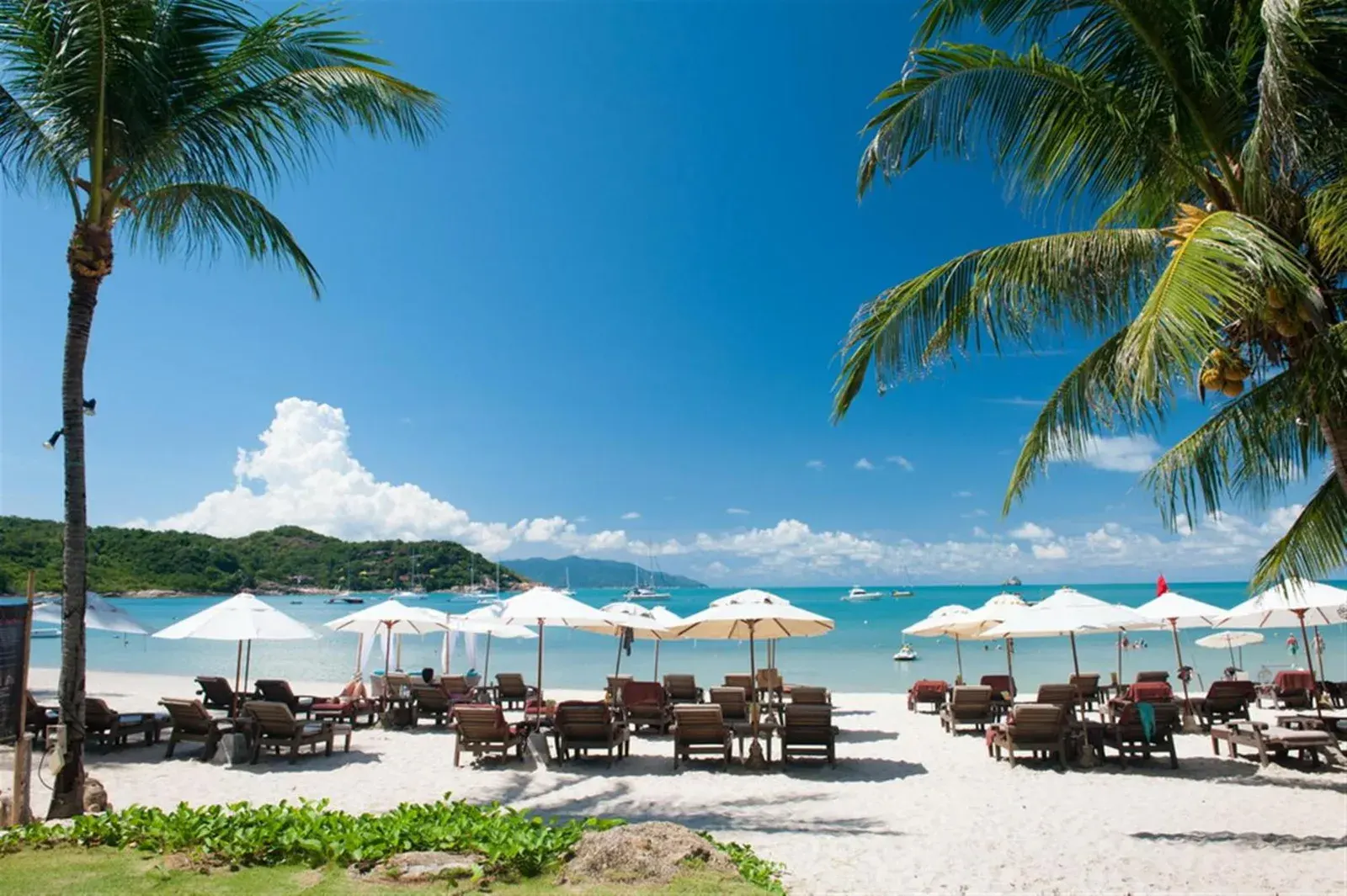 Beachfront View