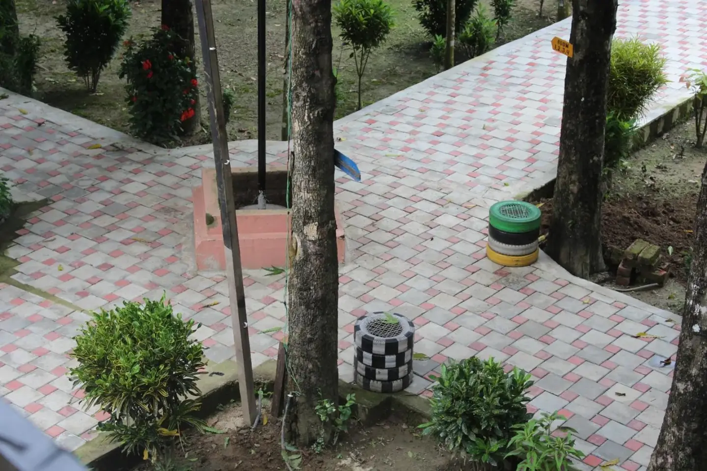 Pasarela ajardinada pavimentada en Safariwildlife Lodge & Camp en Sauraha con árboles y paisajismo