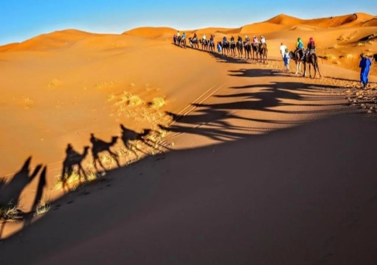 Kamelkarawane, die bei Sonnenuntergang die Dünen nahe Sahara horizon Camp in Merzouga überquert.