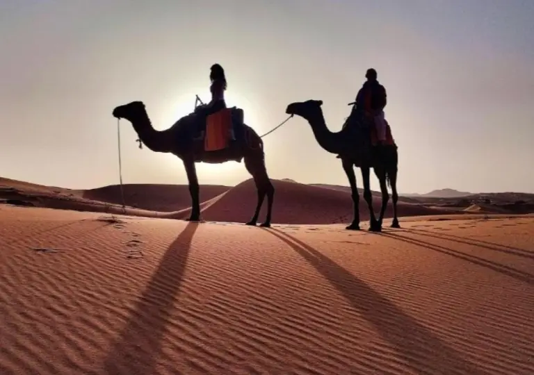 Kamelreiter als Silhouetten auf den Dünen im Sahara horizon Camp in Merzouga bei Sonnenaufgang oder Sonnenuntergang.
