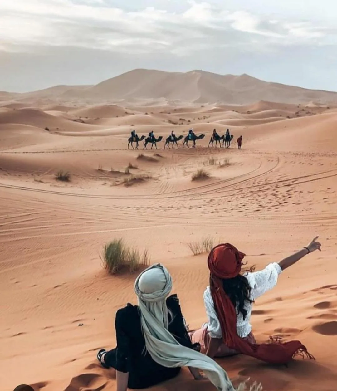 Vista del desierto de Sahara Zen Luxury Camp con camellos
