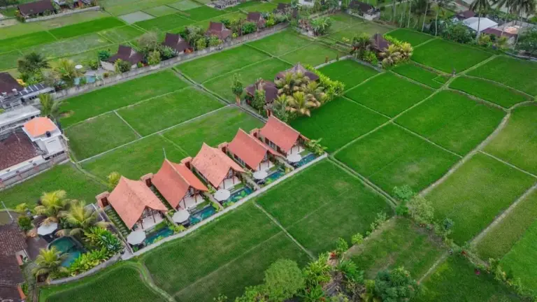 Luftaufnahme von Santris Villas mit den üppigen Reisfeldern in Ubud