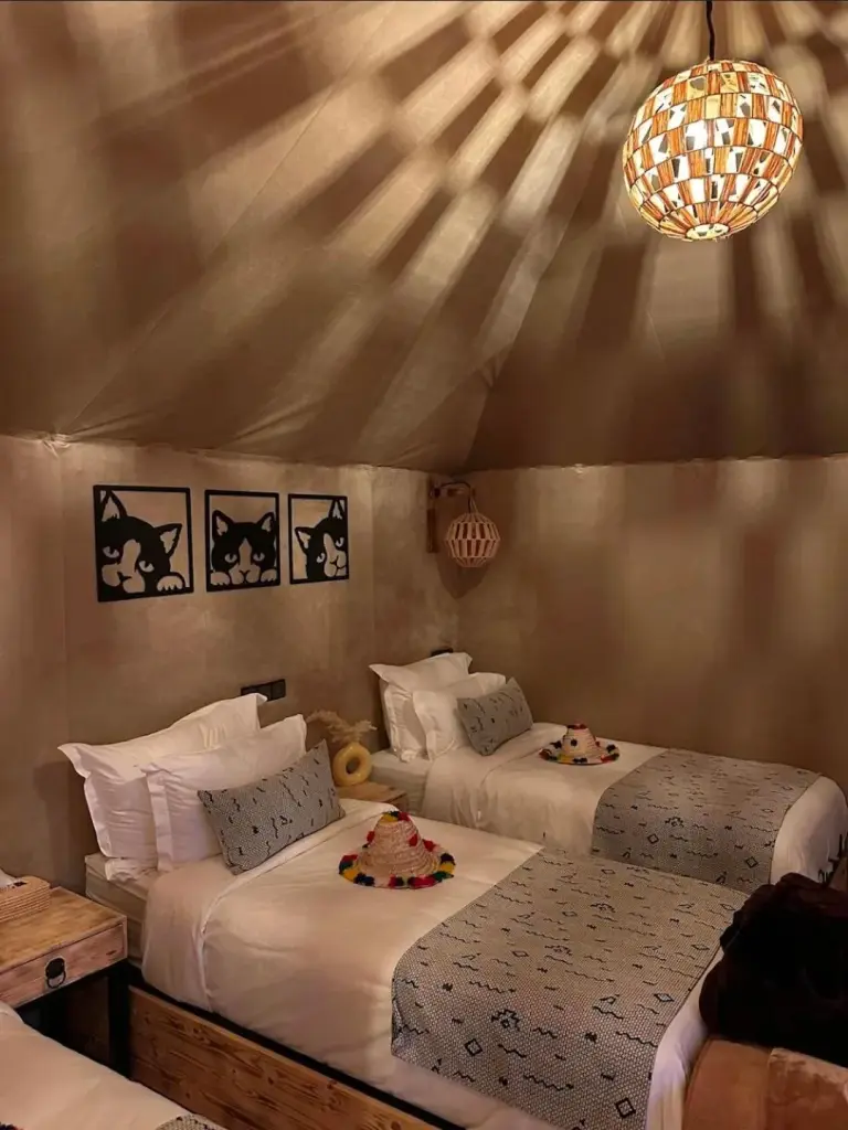 Spacious Twin Room