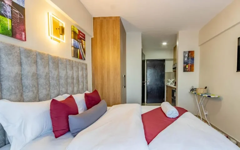 Appartement Studio à Nairobi avec aperçu de la chambre élégante