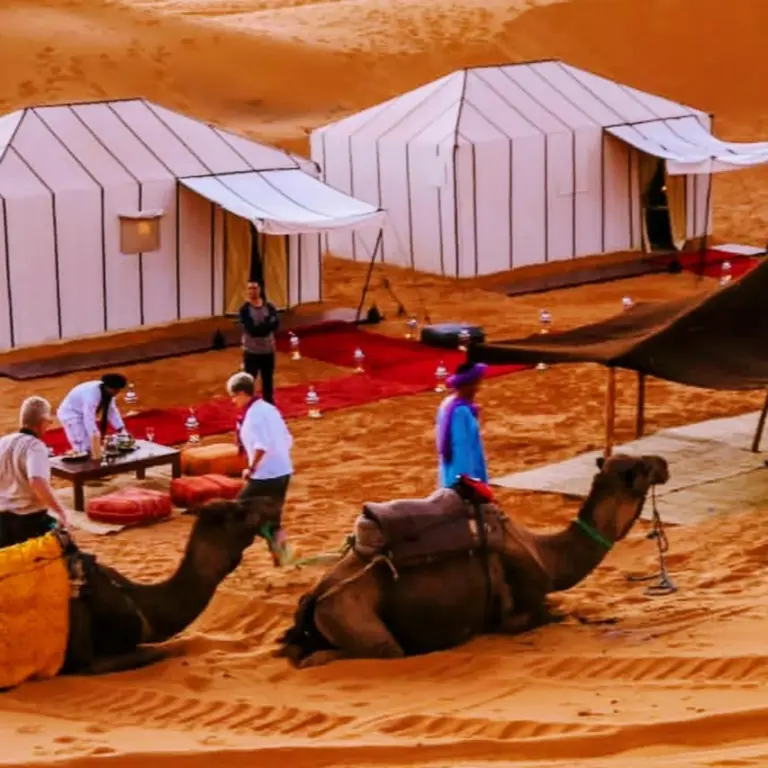 Camp-Szene mit Kamelen im Sunset Dunes Luxury Camp in Merzouga