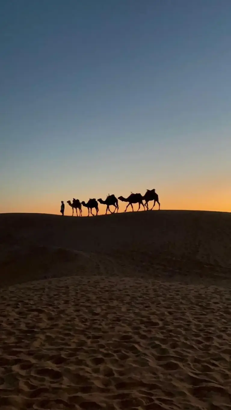 Super Luxury Camp à Merzouga caravane de chameaux