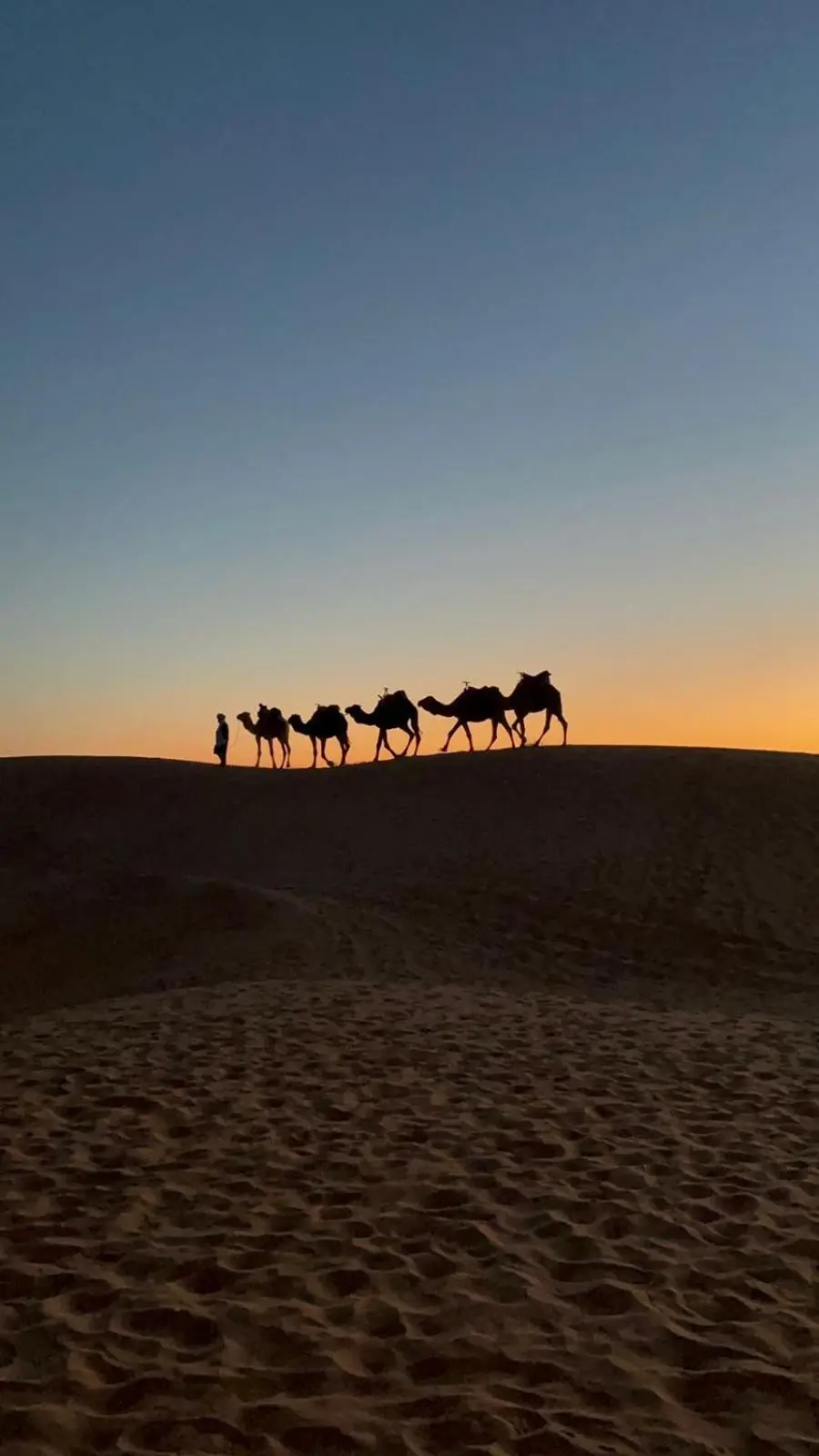 Super Luxury Camp à Merzouga caravane de chameaux