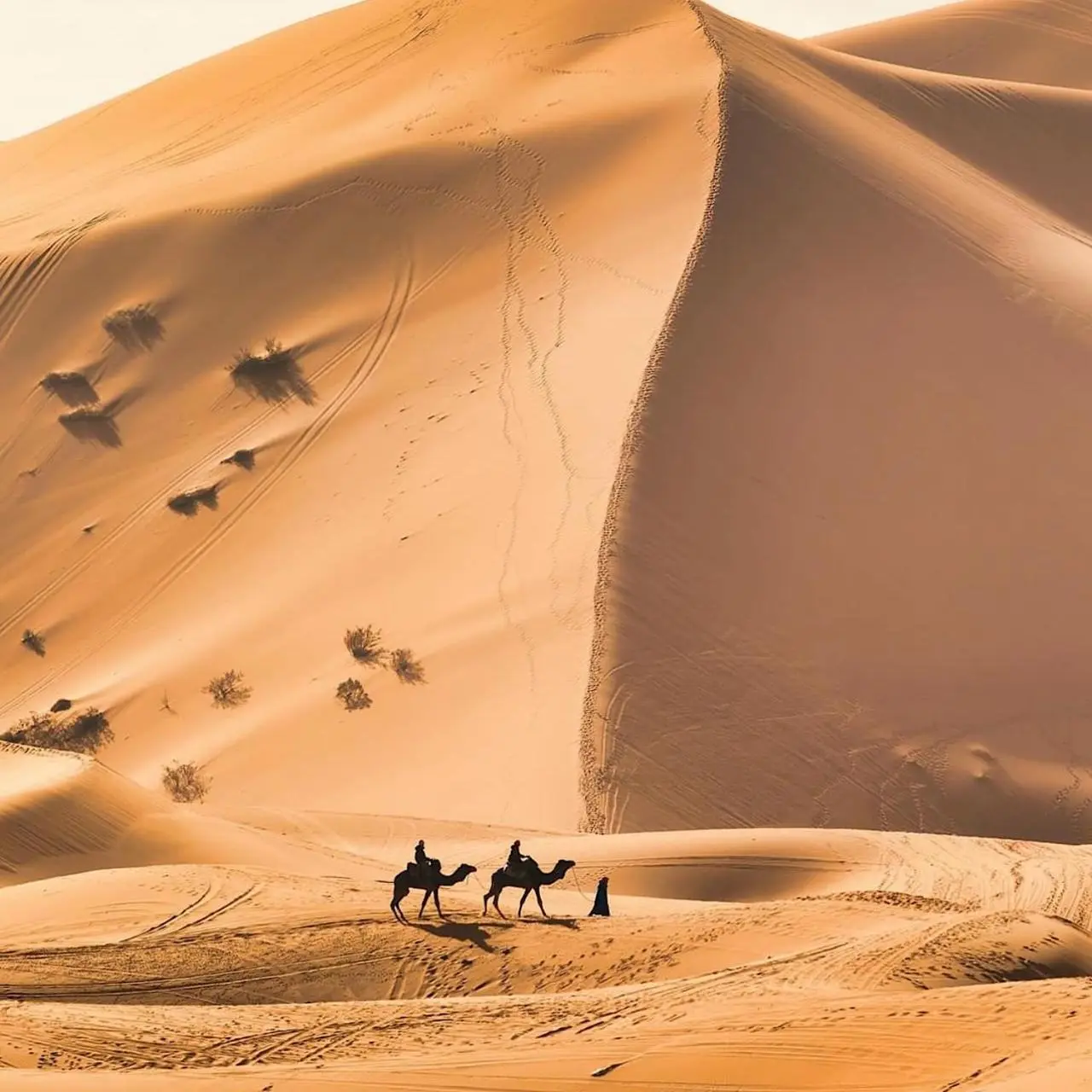 Aventure dans les dunes de sable au Super Luxury Camp à Merzouga