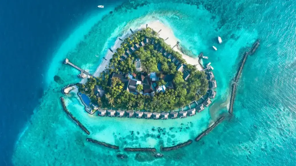Taj Coral Reef Resort & Spa,Maldivas - Premium All Inclusive con traslados gratuitos