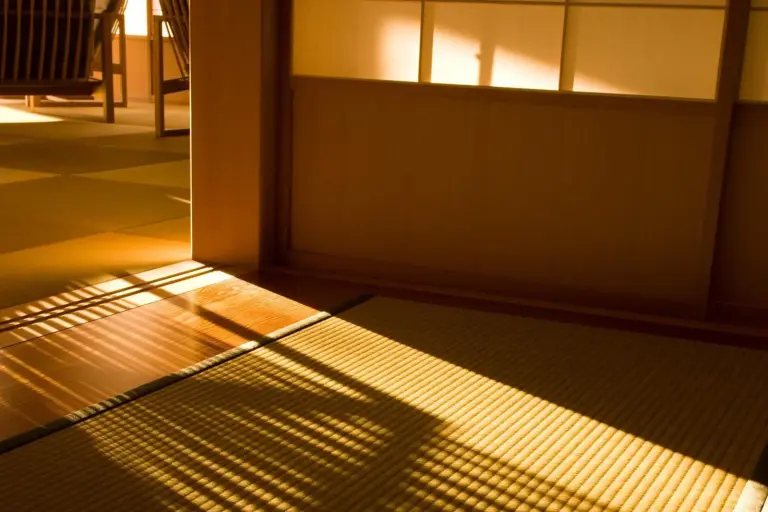 Natural Light in Room