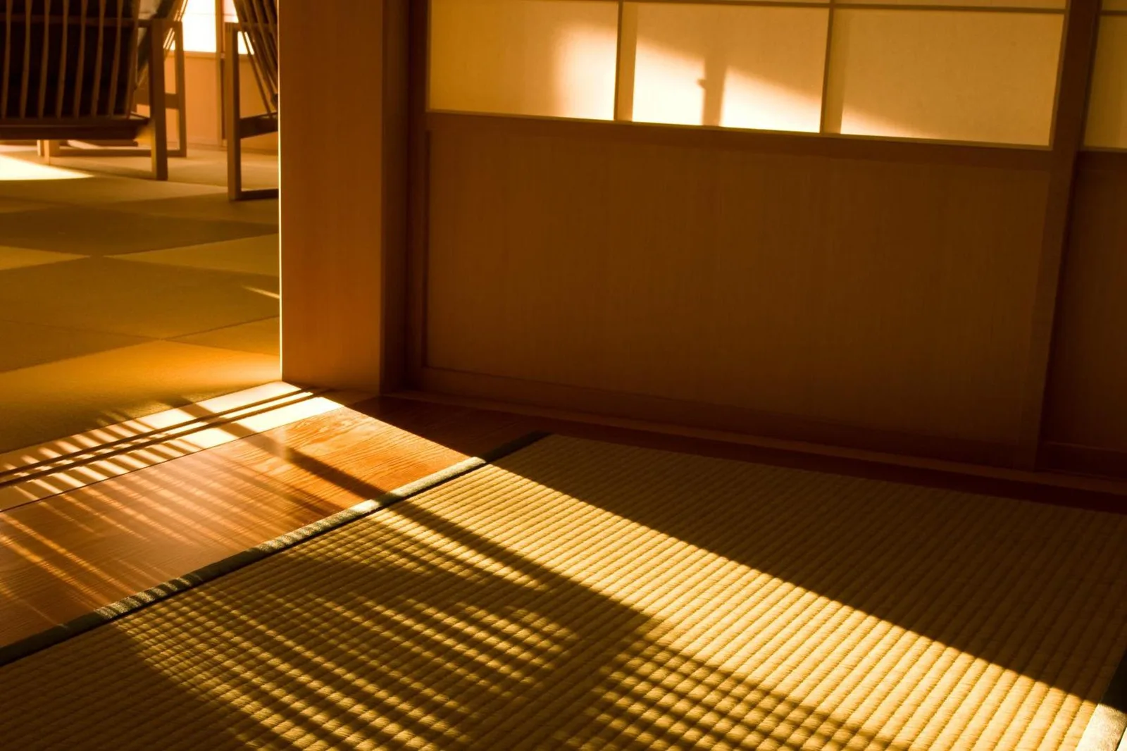 Natural Light in Room