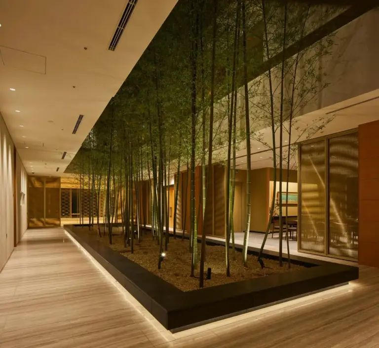 Indoor garden at The Kitano Hotel Tokyo showcasing bamboo plants
