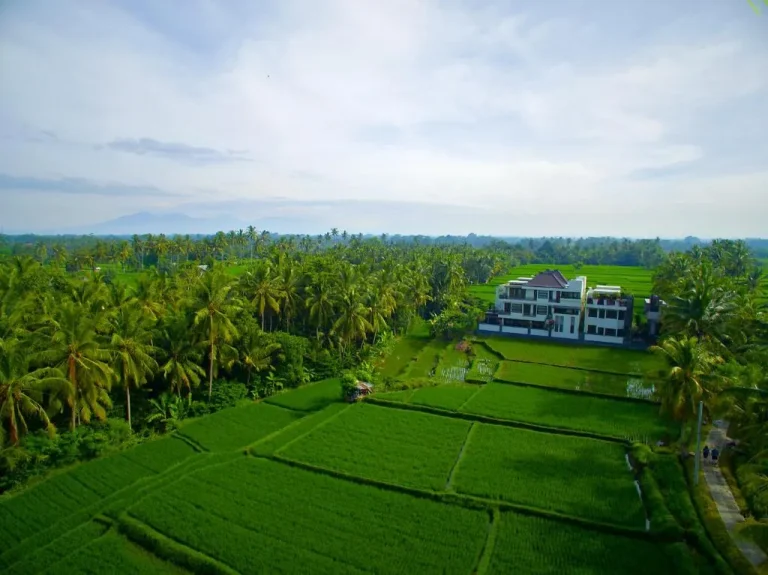 The LUXE Ubud – a Boutique Hotel