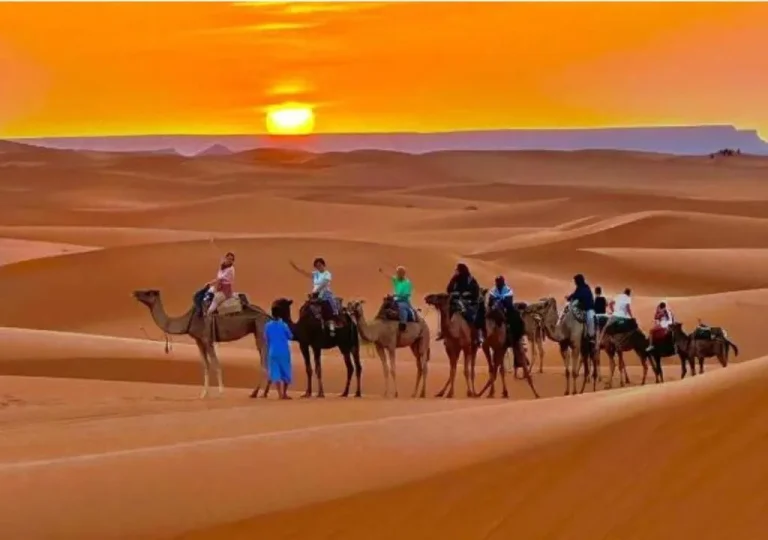 Tinariwen Luxury Camp
