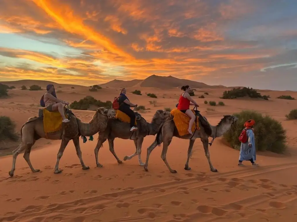 Traditional Riad Merzouga Dunes