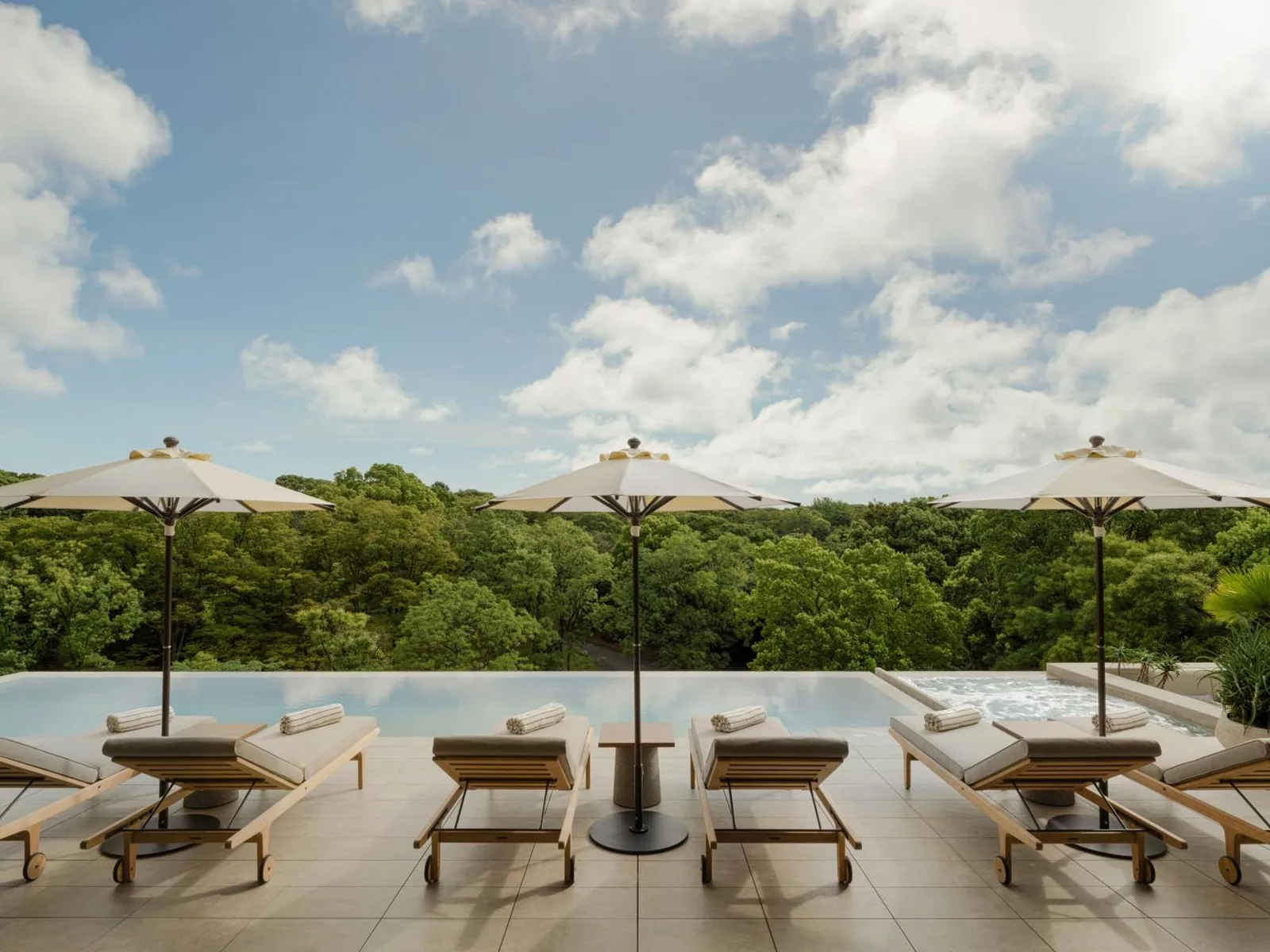 Piscina infinita del Hotel Trunk Yoyogi con vistas a la exuberante vegetación