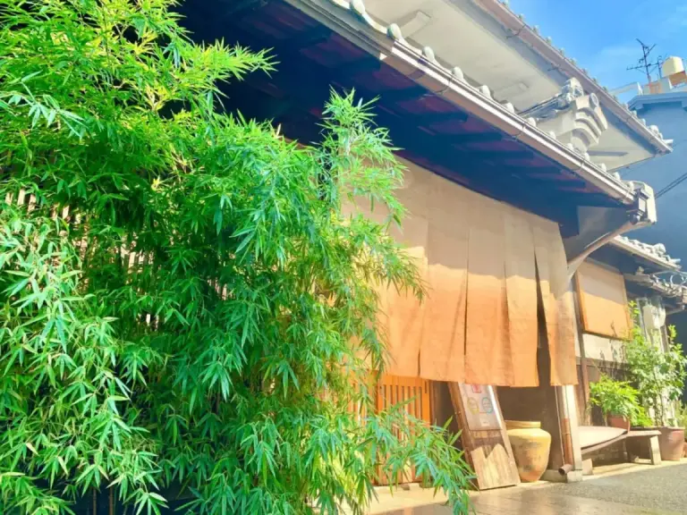 Bamboo View