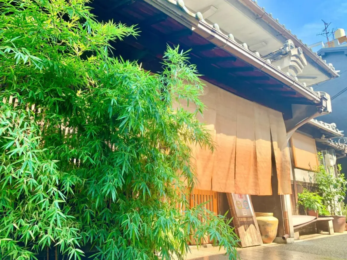 Bamboo View