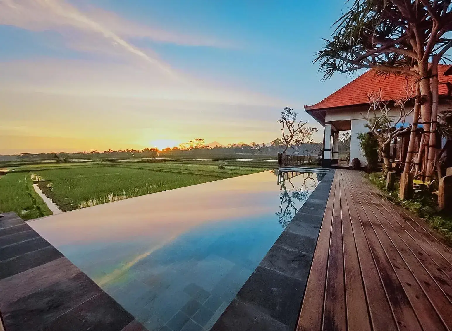 Infinity Pool View