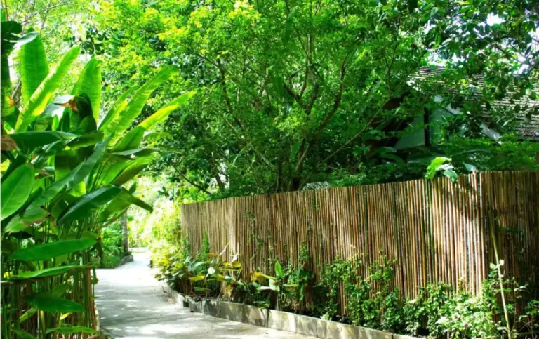 Garden pathway at Villa Escape Burasari in Phuket